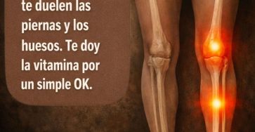 653704264 122160040052943773 1775097311578178196 n