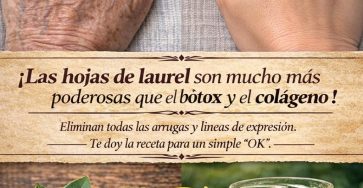 654189544 122116853595176057 4399620377180660551 n