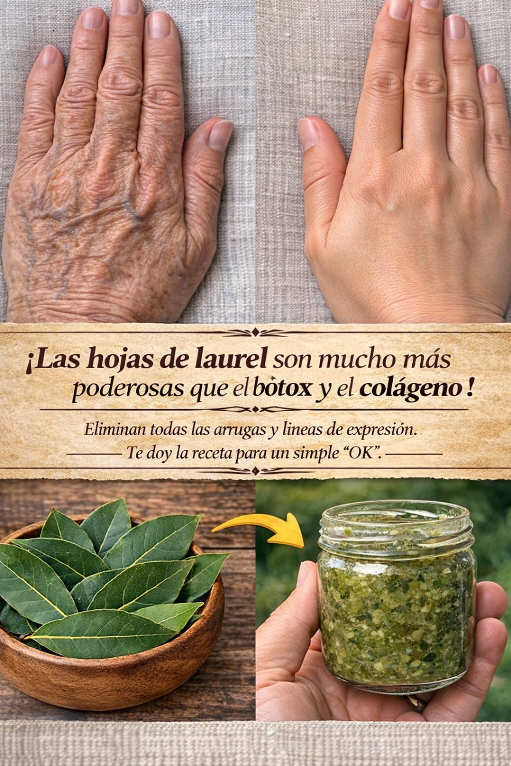 654189544 122116853595176057 4399620377180660551 n