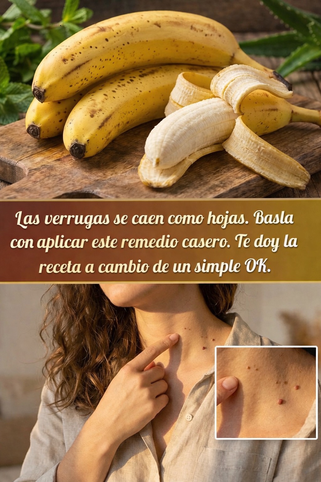 656025253 122117122083205411 6602923882185580822 n