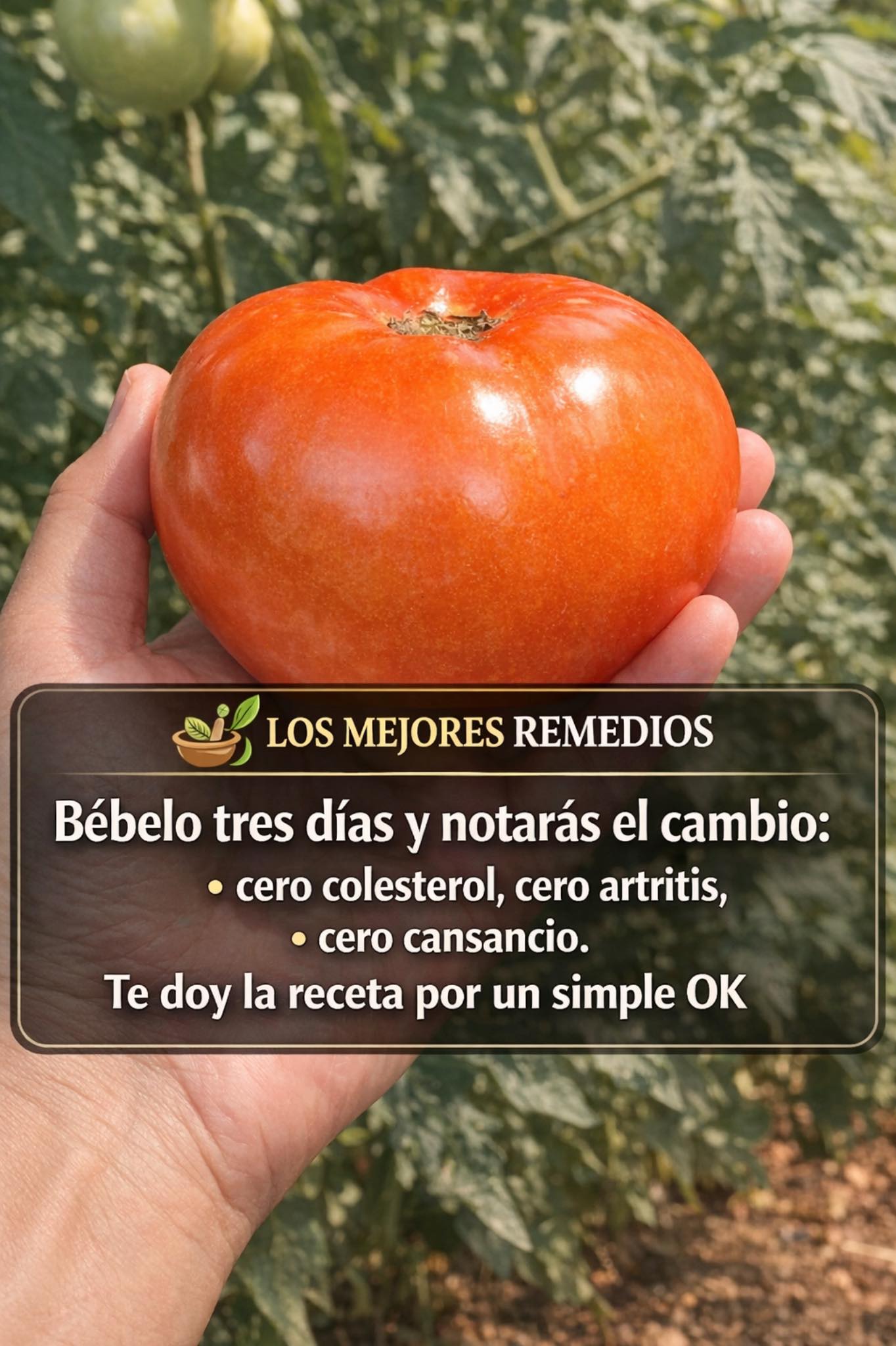 656794208 1509858927367478 1497834435387476856 n