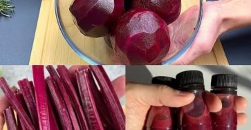 657720246 1485474313281580 9181202708404078814 n