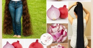 658337893 1539758754185519 2966544040433333216 n