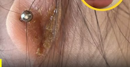 658947701 2359962031409434 7207685828468712936 n