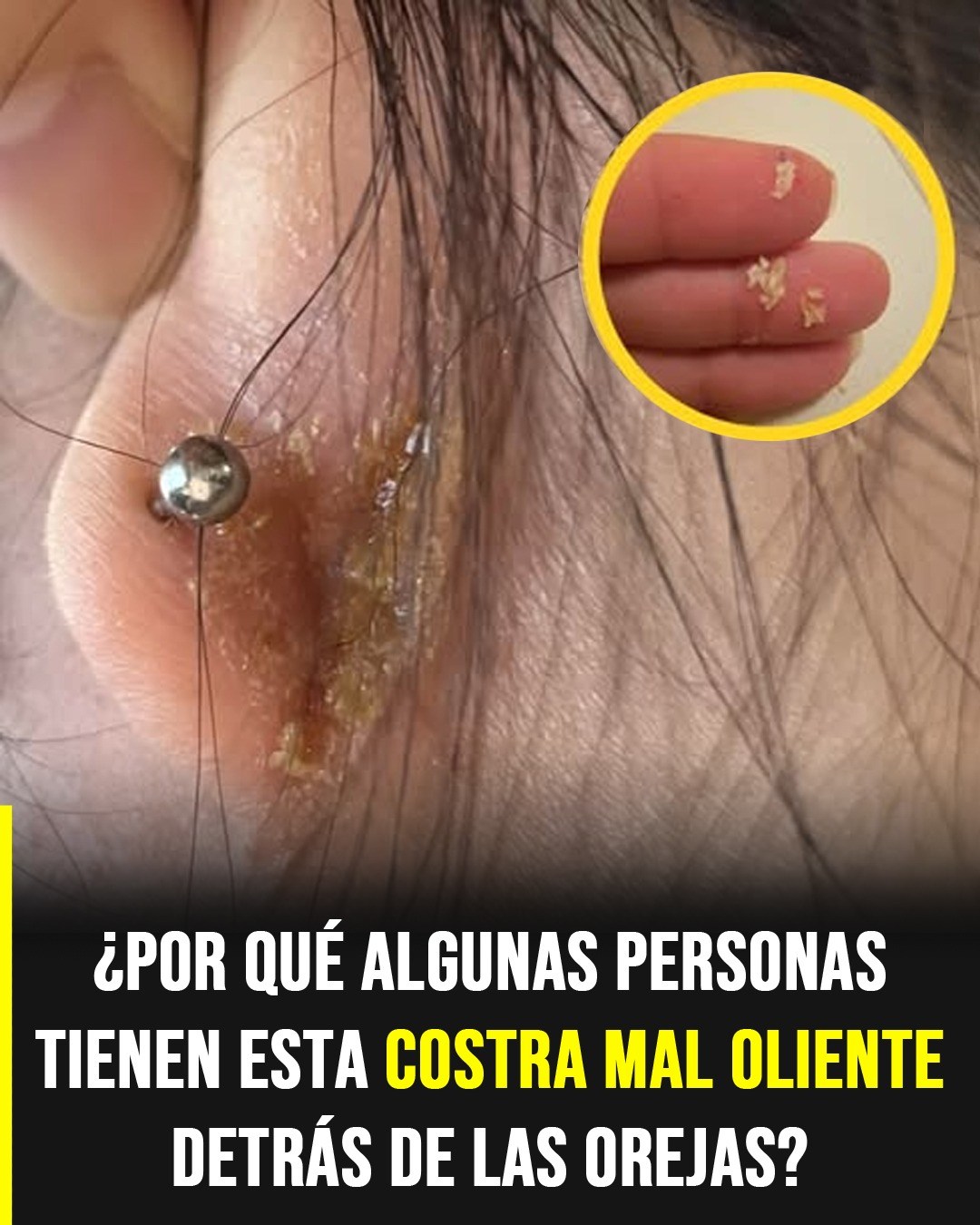 658947701 2359962031409434 7207685828468712936 n