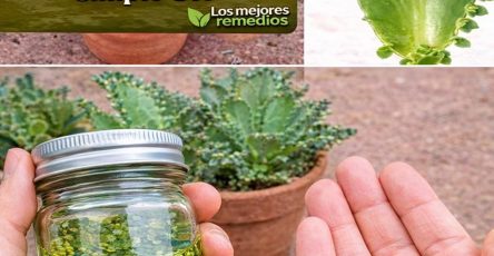 660459931 1514213033598734 6503478591301688374 n