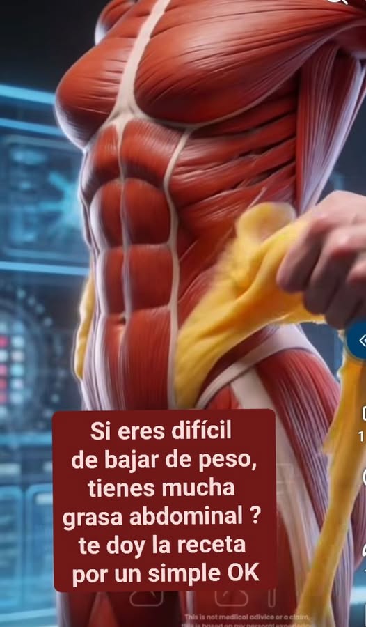 662645565 2042885809940308 5906772872604838022 n