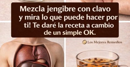 662656561 1516349080051796 2600329760021369398 n