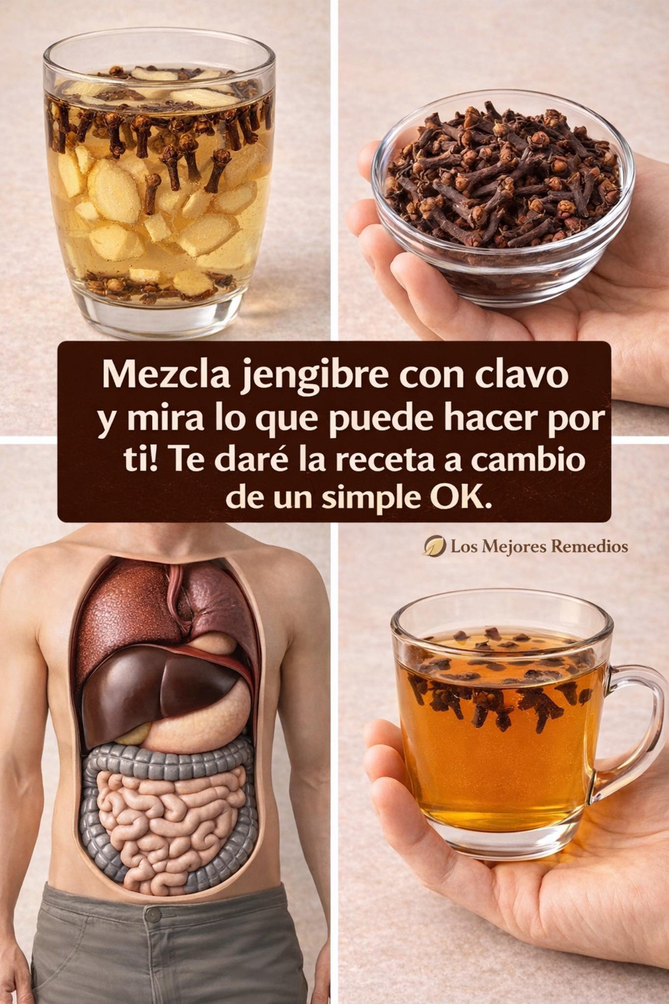 662656561 1516349080051796 2600329760021369398 n