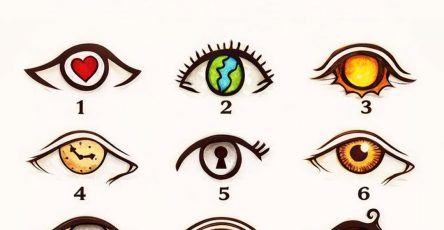 662742184 1532036438487017 7527195036446845715 n