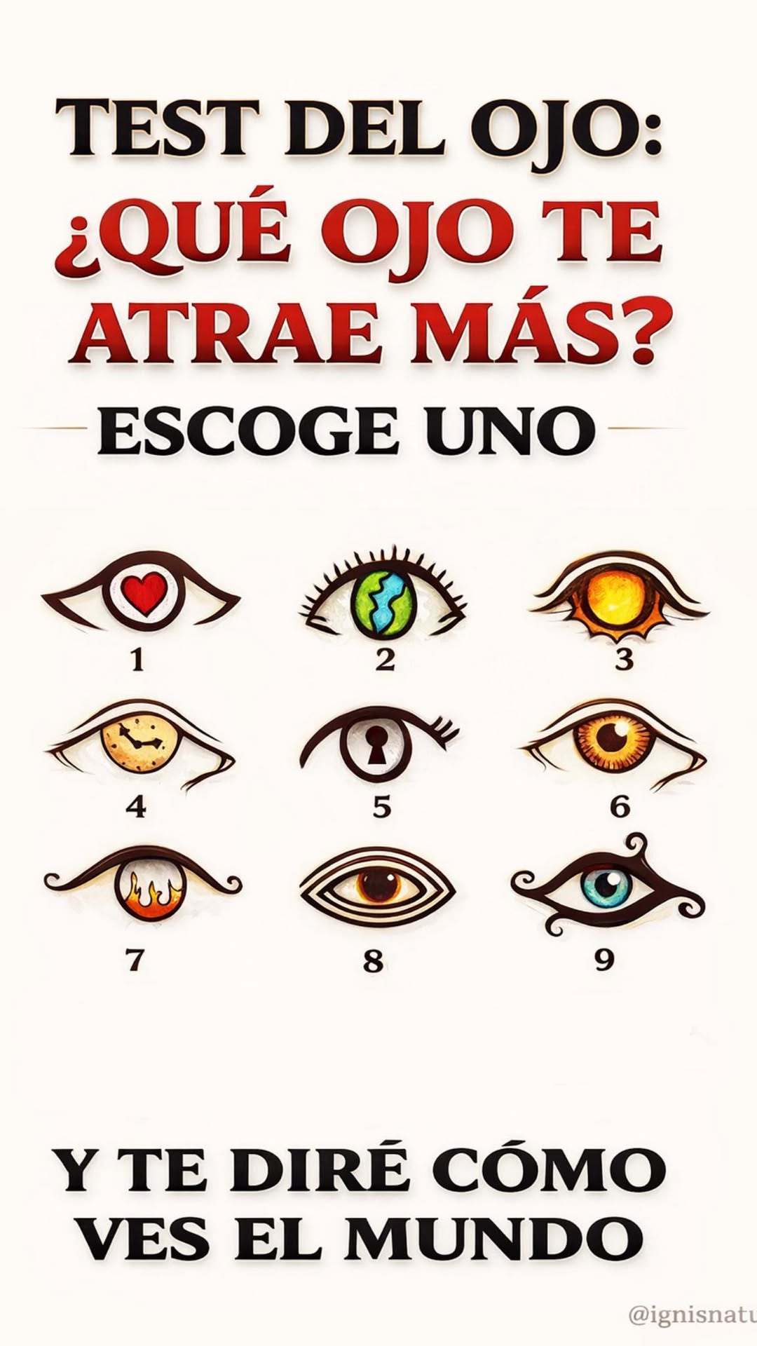 662742184 1532036438487017 7527195036446845715 n