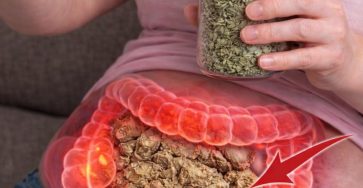 663205546 1515445536808817 5690325323574704640 n