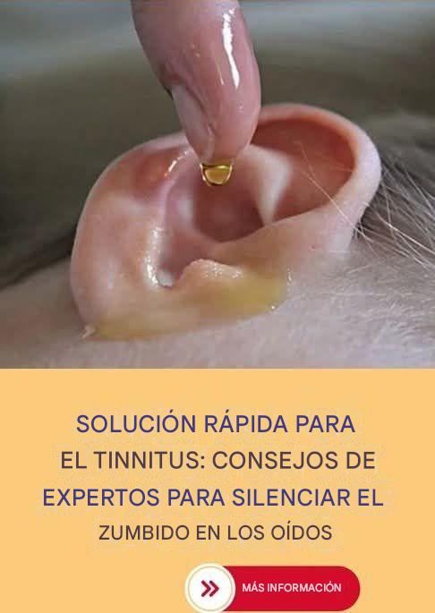 663388893 1485034773413255 4611274466601982594 n