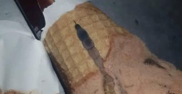 665946455 1700425580944864 6210729258684371417 n