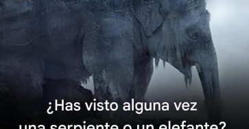 667843583 122301868670234392 912491721016797724 n