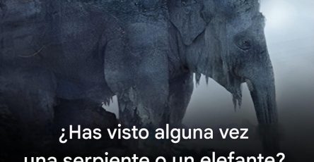 667843583 122301868670234392 912491721016797724 n