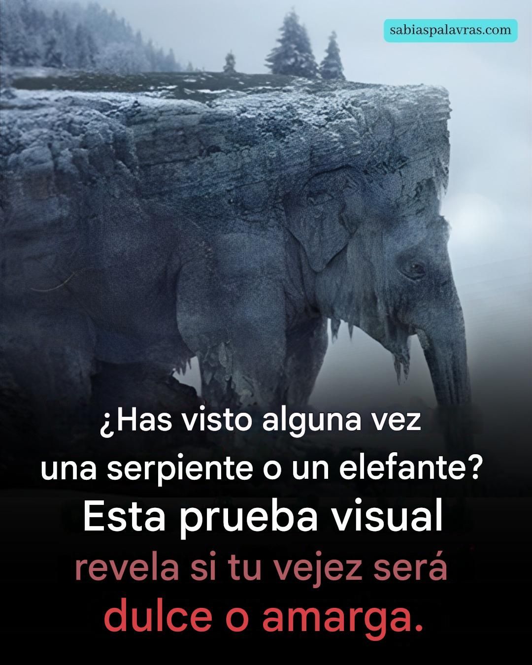 667843583 122301868670234392 912491721016797724 n