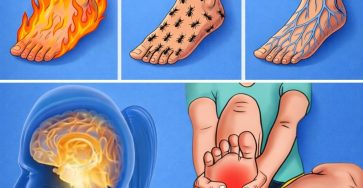 668441091 122165728418715448 6413429443820665568 n