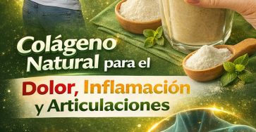 668565846 1749239396658575 630006913659487645 n