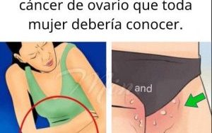 669359969 966687925889880 1081384067294003519 n 300x263