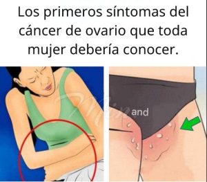 669359969 966687925889880 1081384067294003519 n 300x263