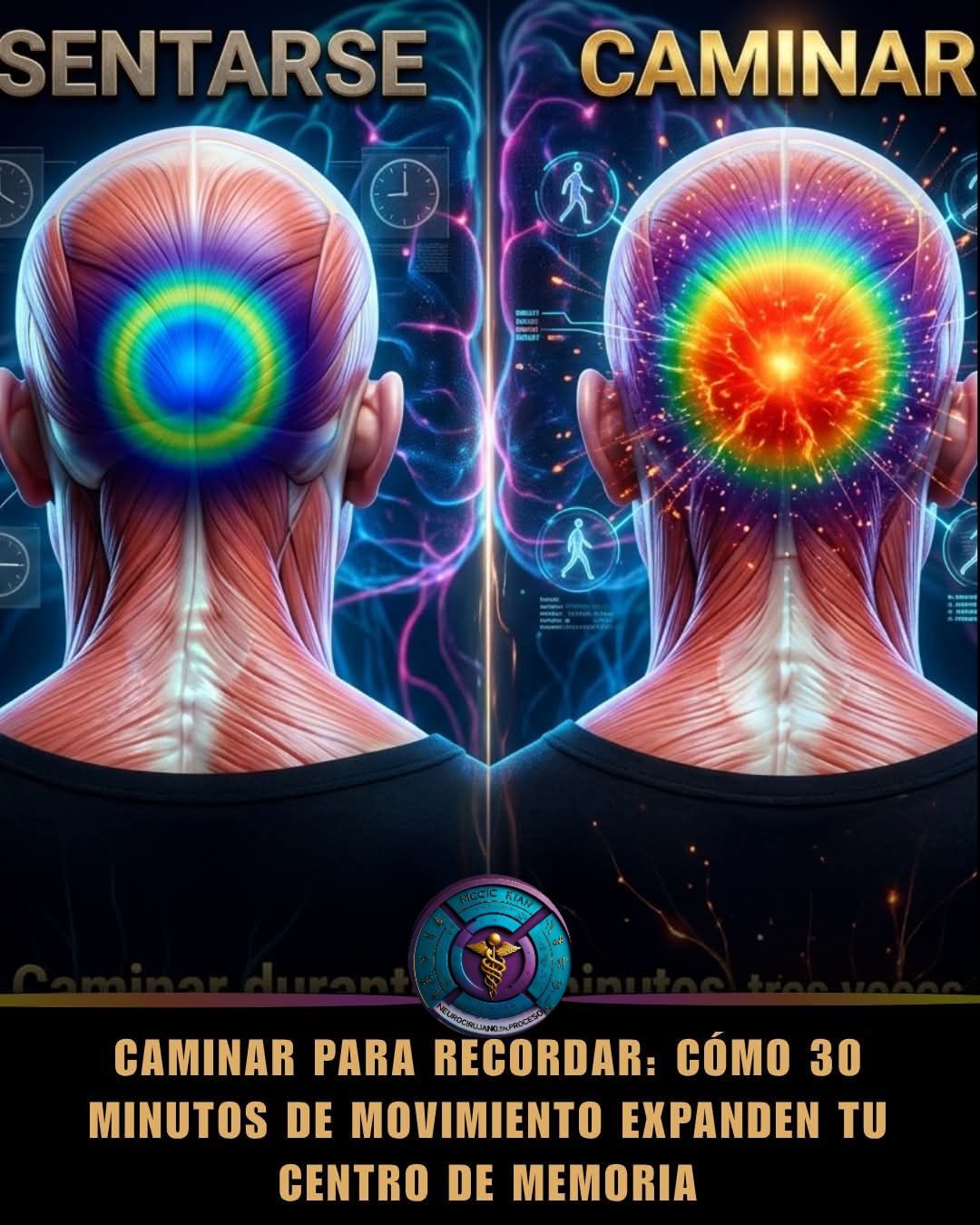 671231327 3811936142275787 7078334397797062612 n