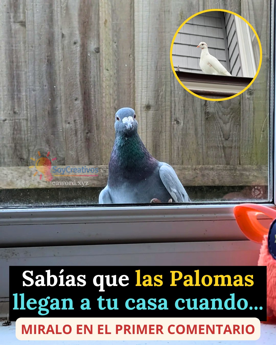 671497690 1515350366827167 3440744308776259045 n