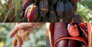 671687382 1558119282349466 790371476877014574 n