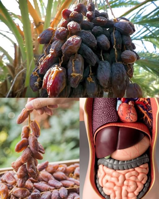 671687382 1558119282349466 790371476877014574 n