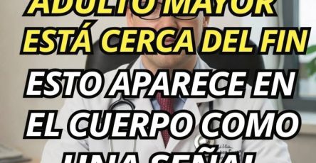 672671317 1971041413804382 8703703464114340078 n