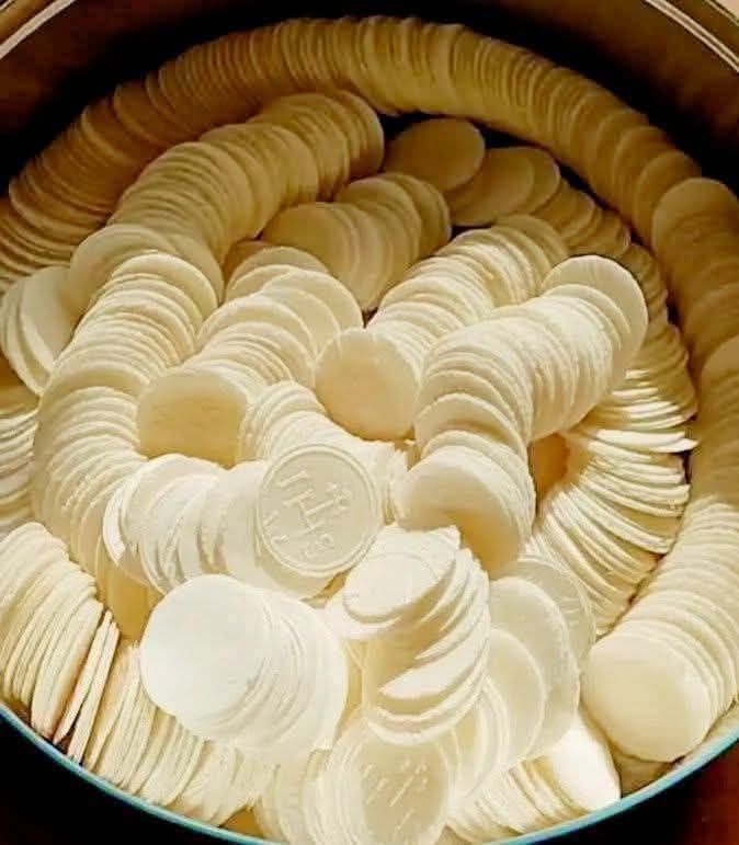 675190132 27308122675442405 3814438754886207041 n (1)