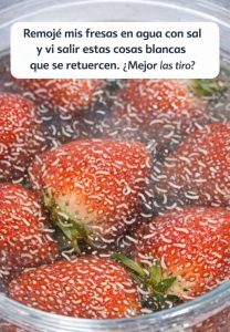 75e95e43 b702 4d6a 866b 1860381783fc