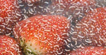 75e95e43 b702 4d6a 866b 1860381783fc