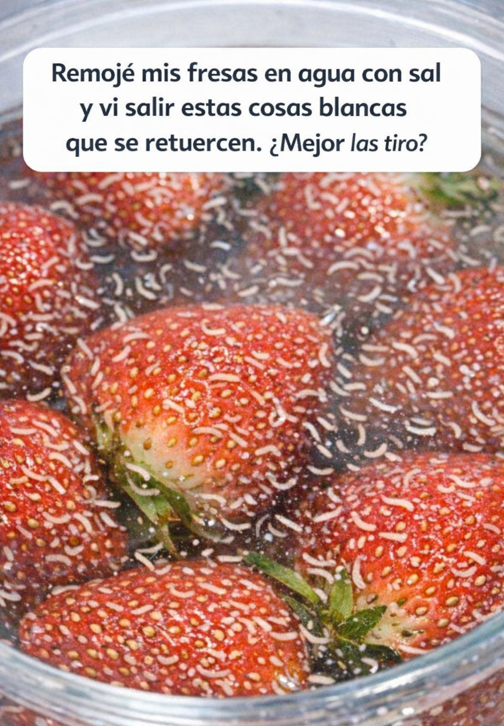 75e95e43 b702 4d6a 866b 1860381783fc