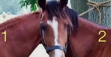 ChatGPT Image 17 avr. 2026 23 23