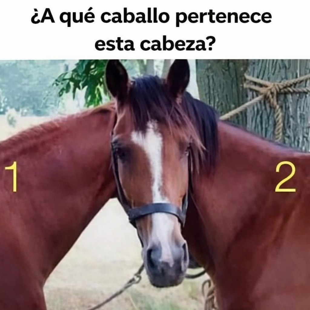 ChatGPT Image 17 avr. 2026 23 23