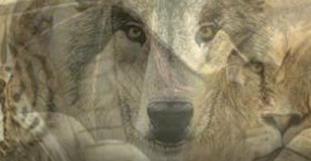 ChatGPT Image 3 avr. 2026 20 06