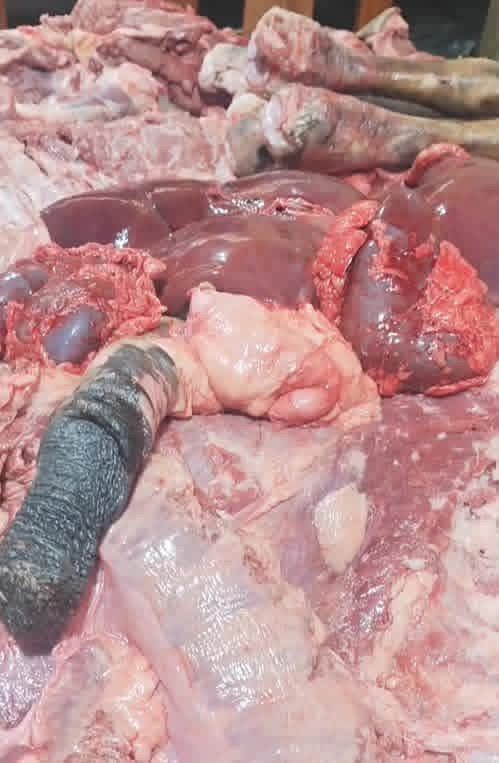 WhatsApp Image 2026 03 08 at 11.50.40