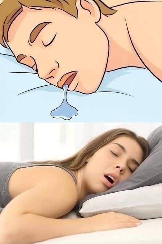 WhatsApp Image 2026 04 03 at 03.20.17