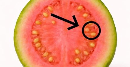 WhatsApp Image 2026 04 09 at 02.11.28