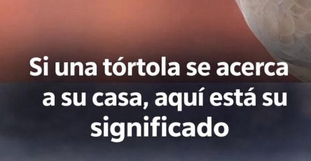 WhatsApp Image 2026 04 17 at 22.11.29