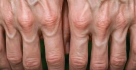 Ec5d603e e7ce 433f af1c 6fb8254b6925