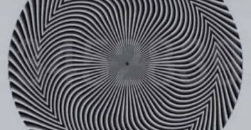 629309173 2103672883789864 2195741671171084962 n