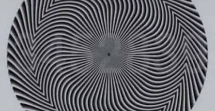 629309173 2103672883789864 2195741671171084962 n