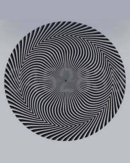 629309173 2103672883789864 2195741671171084962 n