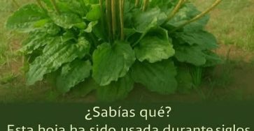 FB IMG