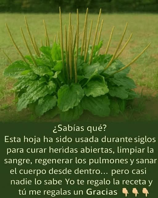 FB IMG